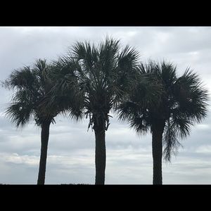 Meet your Posher, Jen